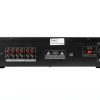 Pavo Dual 21 Band Equalizer RCA Audio Component-1