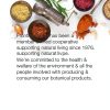 Frontier Co-op Organic Whole Star Anise Pods Vietnamese-5