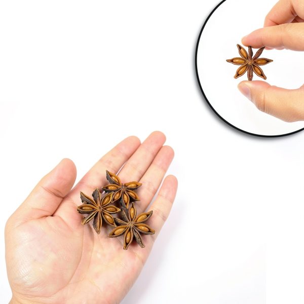 CFOFT Star Anise Whole Natural Cooking Baking Tea-3