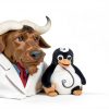 Linux 23 in 1 Multiboot Pack USB 64GB Rampart Sales – Live Ubuntu Mint-5